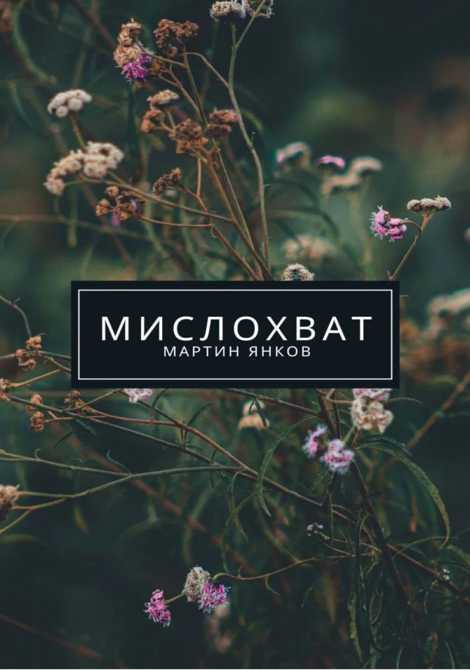 Мислохват